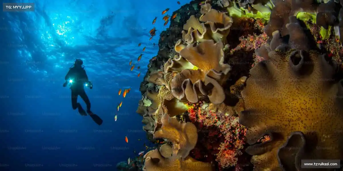 米兰milan🥅守门员的坚守，团队的荣耀，从每一次扑救开始！